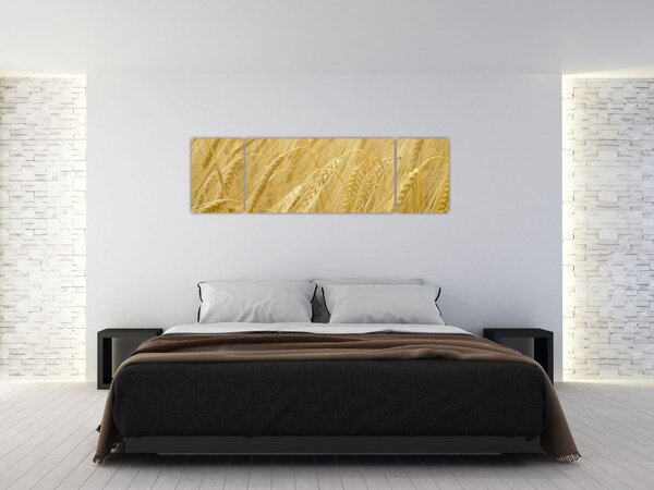 Obraz - Jęczmień (170x50 cm)