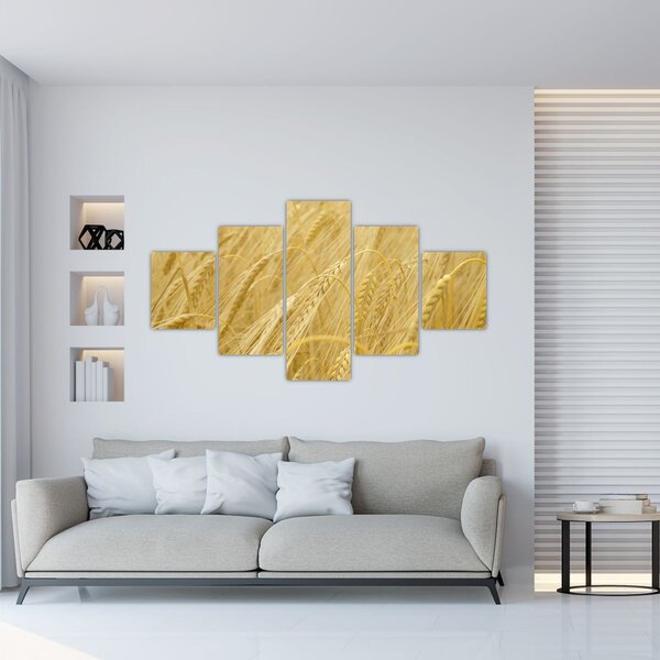 Obraz - Jęczmień (125x70 cm)