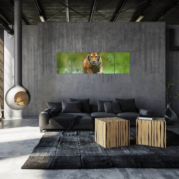 Obraz - Biegnący tygrys (170x50 cm)