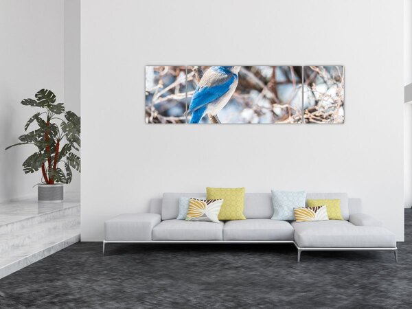 Obraz - Zimowy ptaszek (170x50 cm)