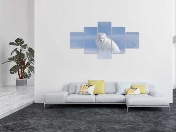 Obraz - Lis polarny (125x70 cm)