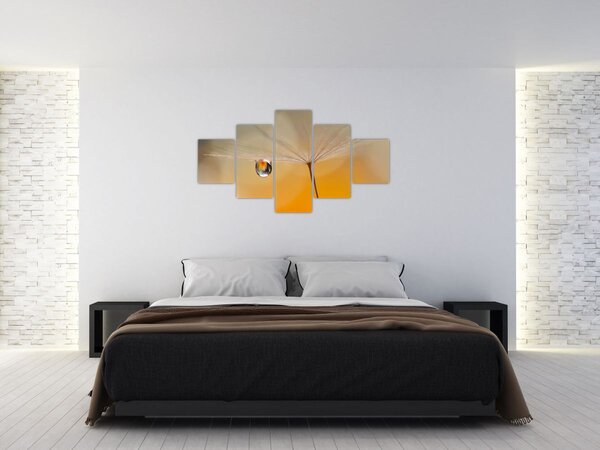 Obraz - Makro kwiat (125x70 cm)
