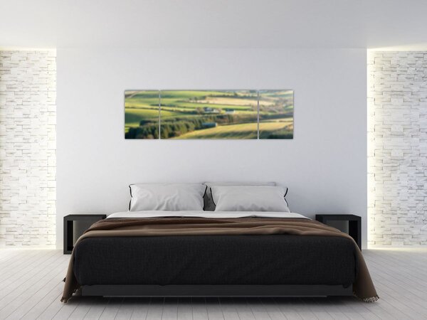 Obraz - Widok na krajobraz (170x50 cm)