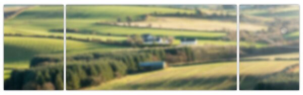 Obraz - Widok na krajobraz (170x50 cm)