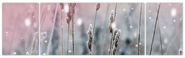 Obraz - Chwila (170x50 cm)