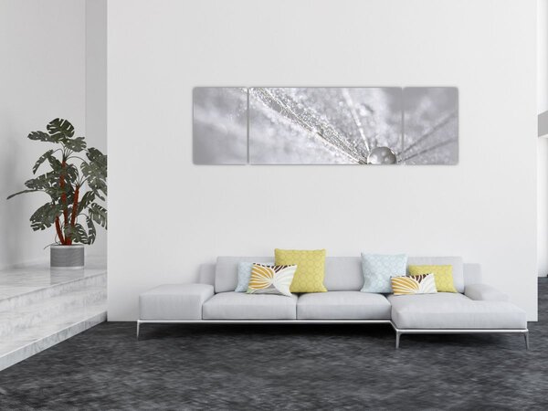 Obraz - Kropla wody (170x50 cm)