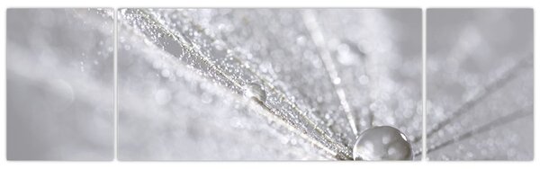 Obraz - Kropla wody (170x50 cm)