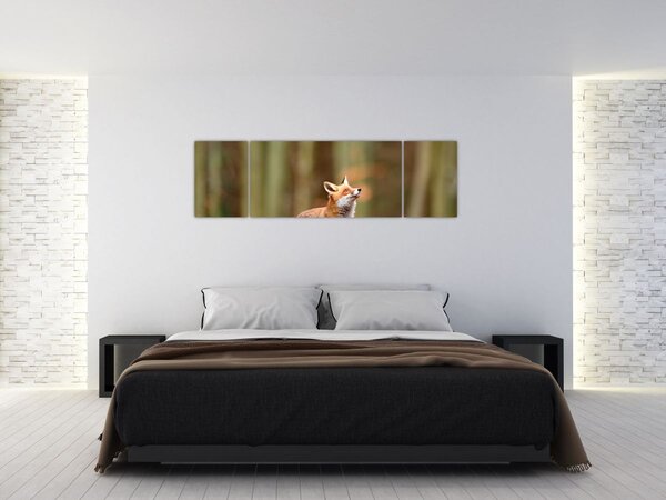 Obraz - Lis (170x50 cm)