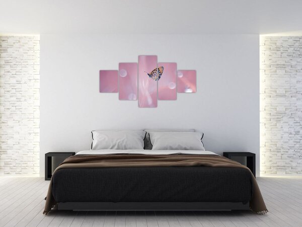 Obraz - Motylek (125x70 cm)