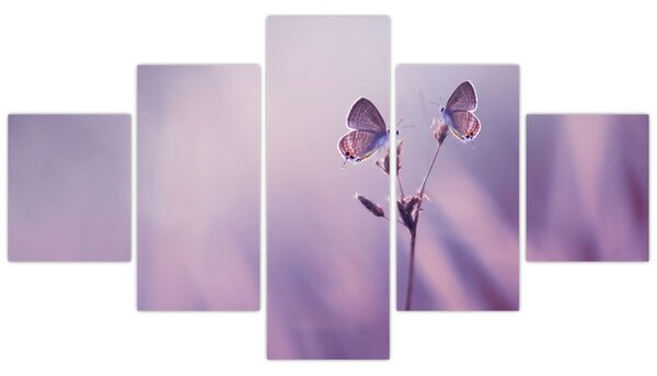 Obraz - Fioletowe motyle (125x70 cm)