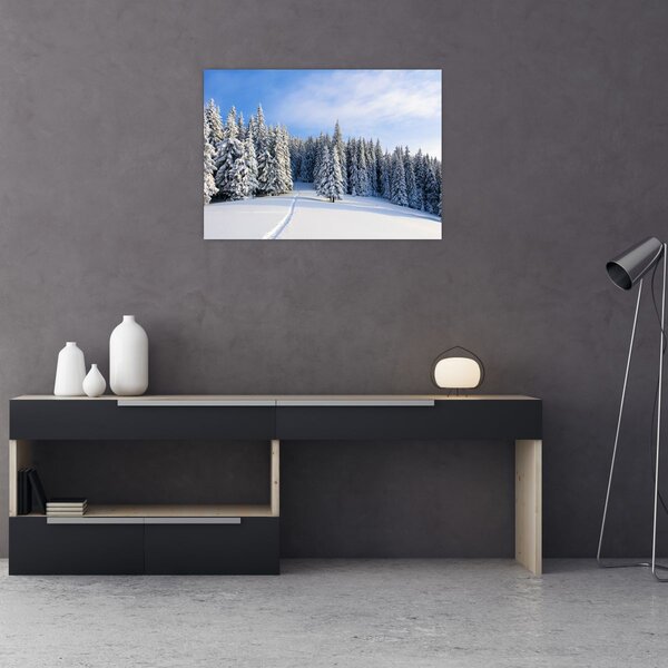 Obraz - Zima w lasach (70x50 cm)