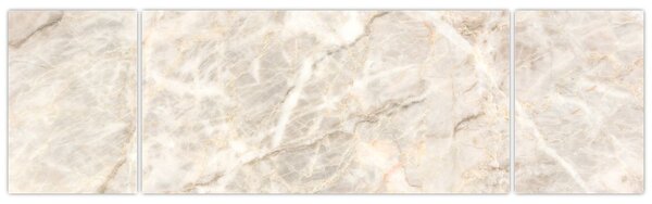 Obraz - Mamur (170x50 cm)