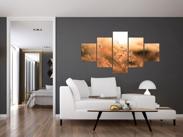 Obraz - Trawa na słońcu (125x70 cm)