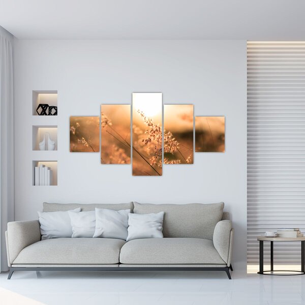 Obraz - Trawa na słońcu (125x70 cm)