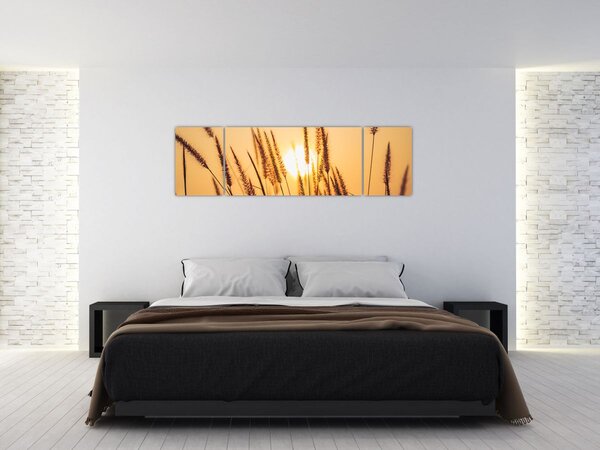 Obraz - Trawa w słońcu (170x50 cm)
