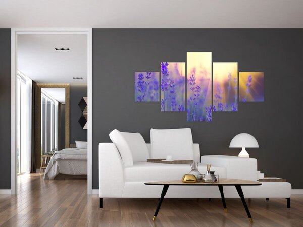 Obraz - Lawenda (125x70 cm)