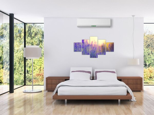 Obraz - Lawenda (125x70 cm)