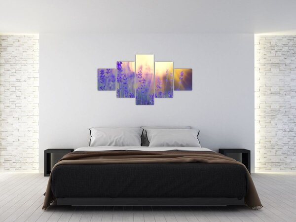 Obraz - Lawenda (125x70 cm)