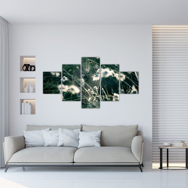Obraz - Pajęczyna (125x70 cm)