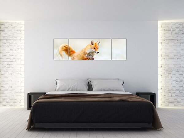 Obraz - Skaczący lis (170x50 cm)