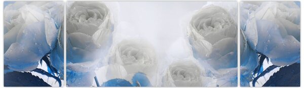 Obraz - Białe róże (170x50 cm)