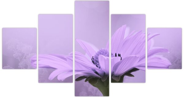 Obraz - Fioletowy kwiat (125x70 cm)