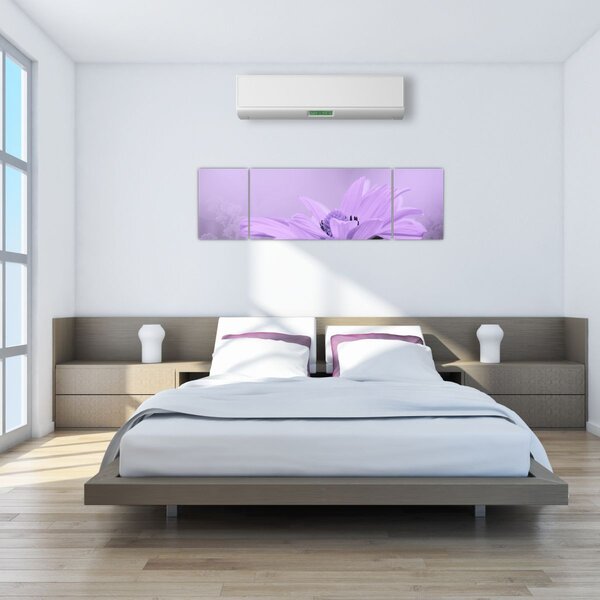 Obraz - Fioletowy kwiat (170x50 cm)