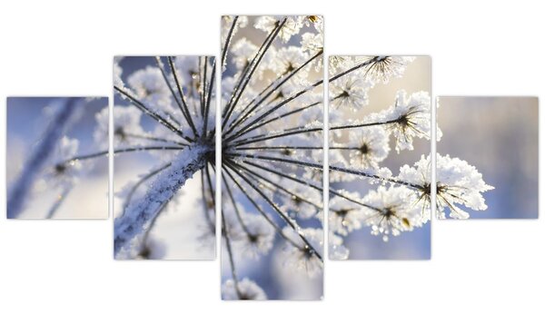 Obraz - Zamarznięty kwiat (125x70 cm)