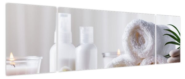 Obraz - Spa (170x50 cm)