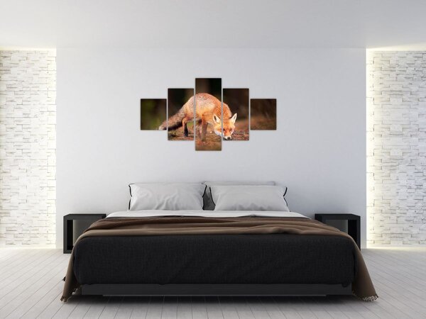 Obraz - Lis w lesie (125x70 cm)