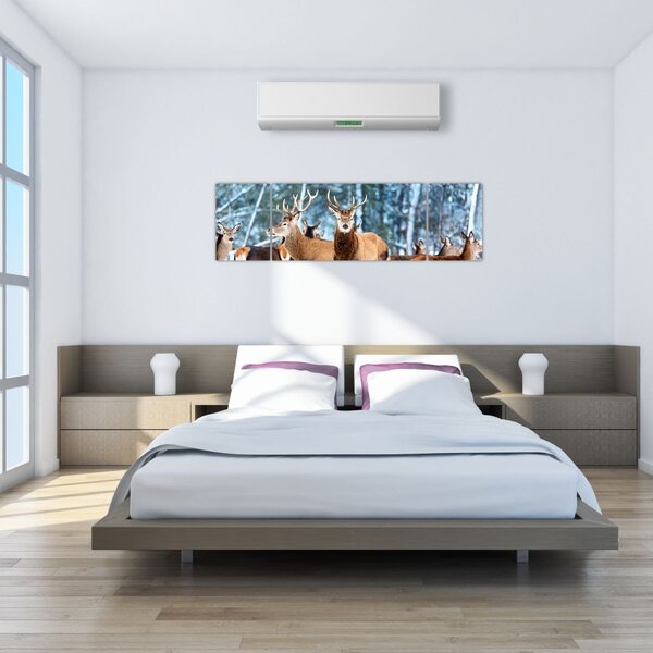 Obraz - Stado jeleni (170x50 cm)