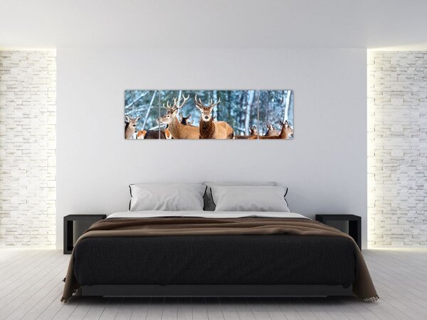 Obraz - Stado jeleni (170x50 cm)