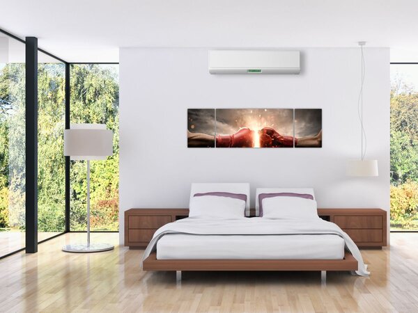 Obraz - Boks (170x50 cm)