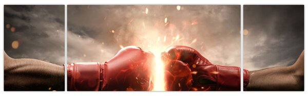 Obraz - Boks (170x50 cm)