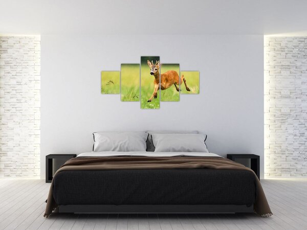 Obraz - Sarna (125x70 cm)