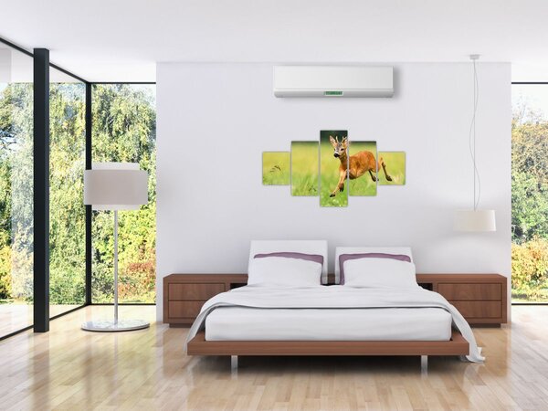 Obraz - Sarna (125x70 cm)