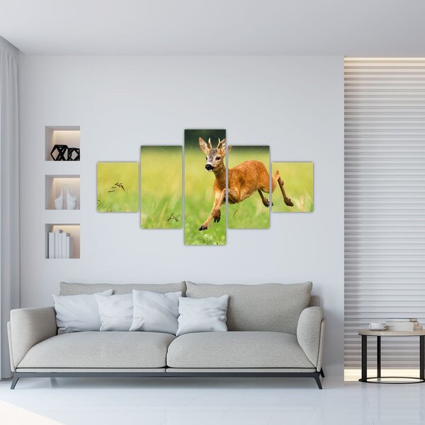 Obraz - Sarna (125x70 cm)