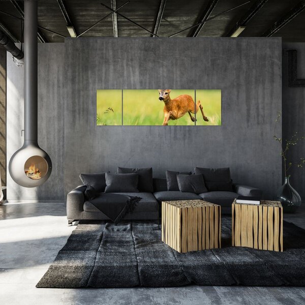 Obraz - Sarna (170x50 cm)