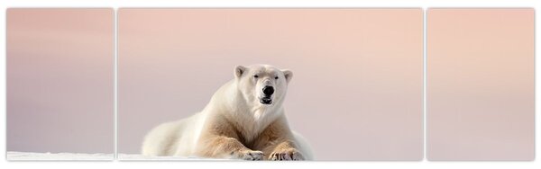 Obraz - Niedźwiedź polarny (170x50 cm)