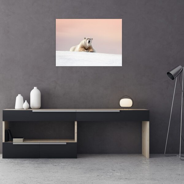 Obraz - Niedźwiedź polarny (70x50 cm)