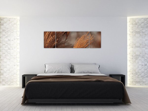 Obraz - Kortaderia (170x50 cm)