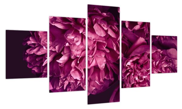 Obraz - Kwiaty piwonii (125x70 cm)