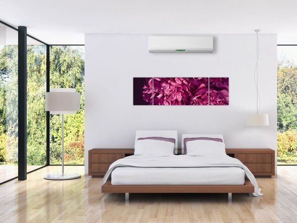Obraz - Kwiaty piwonii (170x50 cm)