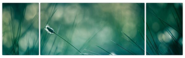 Obraz - Szczegół trawy (170x50 cm)