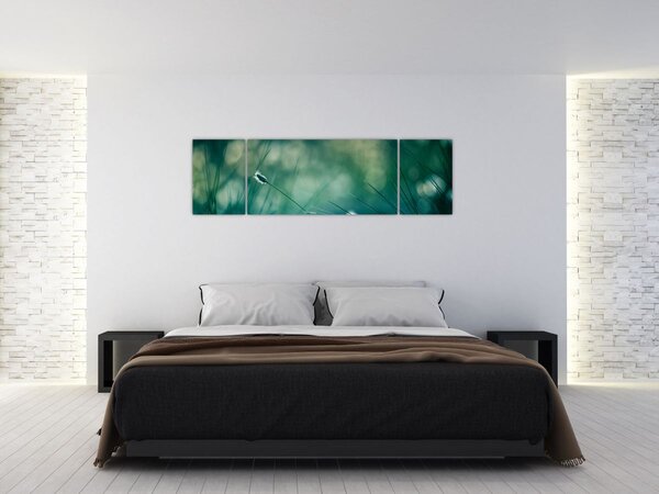 Obraz - Szczegół trawy (170x50 cm)