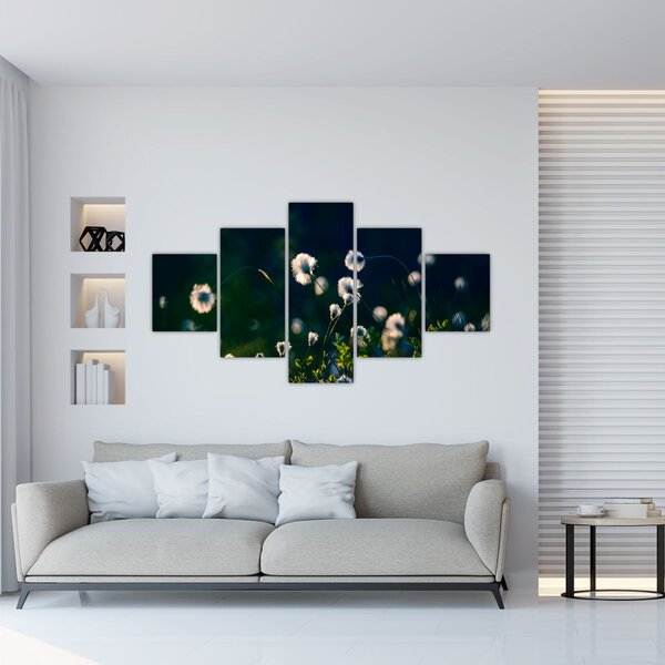 Obraz - Trawa (125x70 cm)
