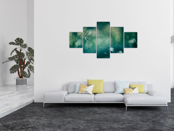 Obraz - Szczegół trawy (125x70 cm)