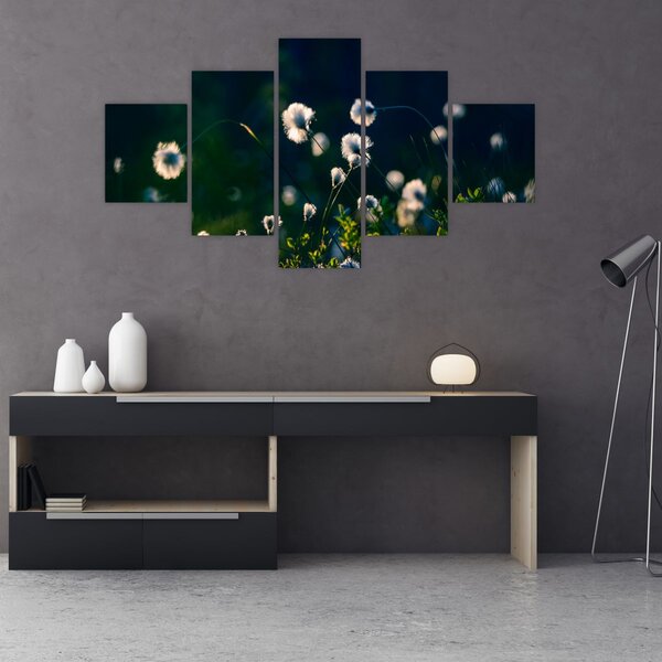 Obraz - Trawa (125x70 cm)