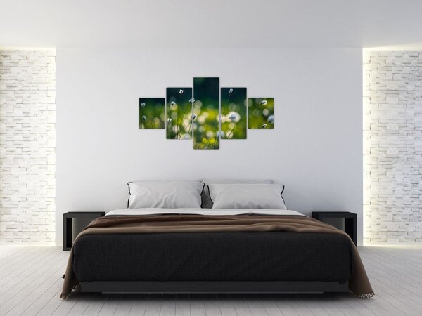 Obraz - Trawa (125x70 cm)