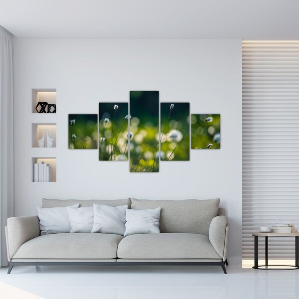 Obraz - Trawa (125x70 cm)